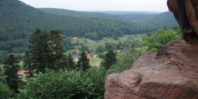 Vue du château du Vieux Windstein