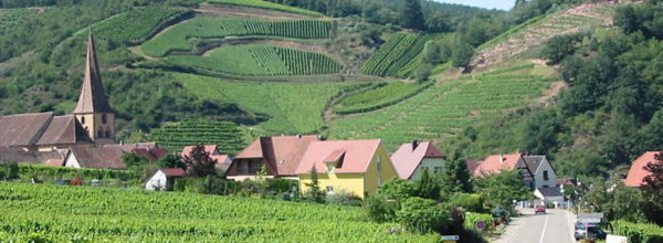 La Route des Vins d’Alsace