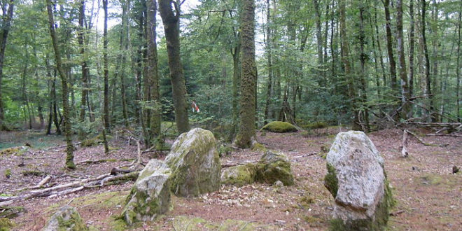 Dolmen de Toulfoën dans la forêt de Forêt de Carnoët