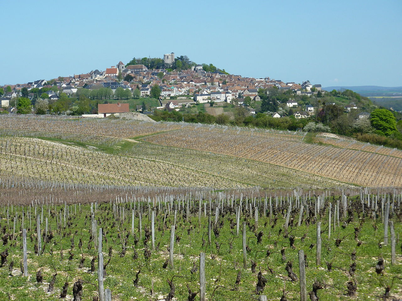 Vignoble de Sancerre