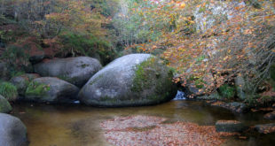 Forêt de Huelgoat