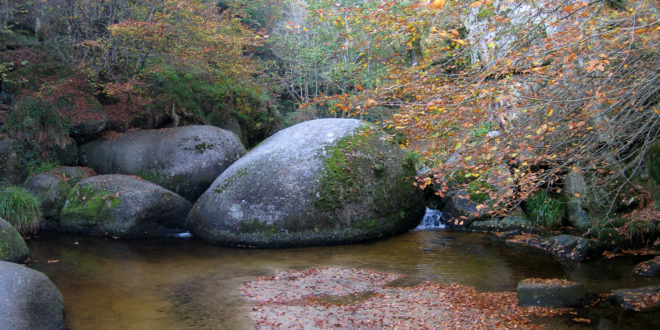 Forêt de Huelgoat