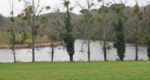 Etang de Pen Mur à Muzillac