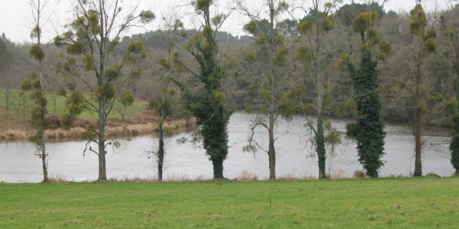 Etang de Pen Mur à Muzillac