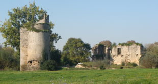 Les ruines du château de Machecoul.